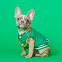 বাদাম ও বীজ